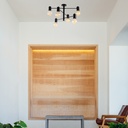 Mennyezeti lámpa, fekete -