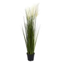 Műnövény, pampas, 90 cm - PAMPINO