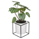 Műnövény, nyílgyökér, fém vázában, 32 cm - MARANTA