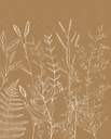 Növénymintás tapéta, 200x250 cm, barna - fehér - SMERK