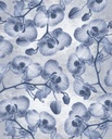 Kék orchideákkal mintázott tapéta, 200x250 cm, fehér - szürke - kék - VAPOREUX