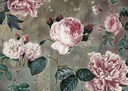 Bazsarózsákat ábrázoló tapéta, 350x250 cm, rózsaszín - sötétzöld - ROSES