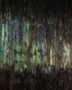 Színes madártollakkal mintázott tapéta, 200x250 cm, zöld - lila - sárga - GLOUSH