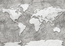 Világtérképet ábrázoló tapéta, 350x250 cm, szürke - fehér - MAP MONDE